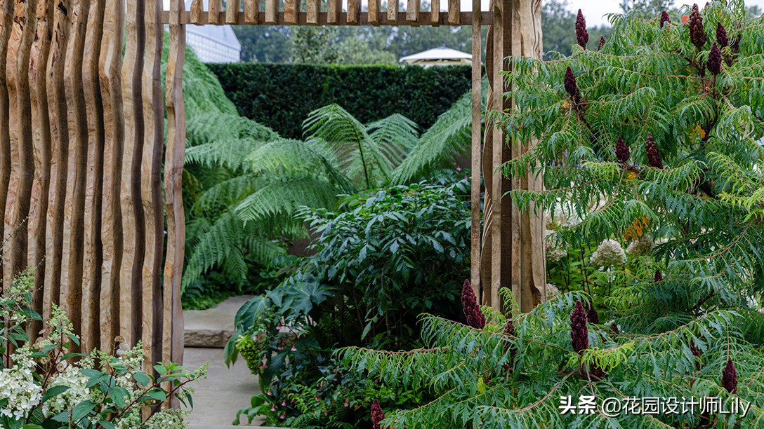 2023年切尔西花展各个花园的介绍,切尔西花展最佳花园