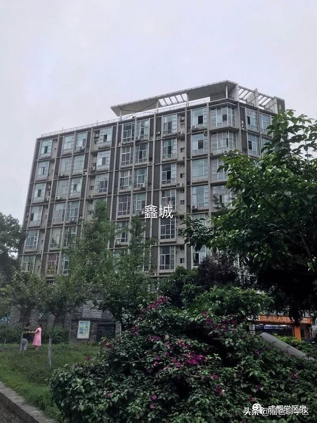 东城根小学学区房有哪些,东城根街小学2023招生计划