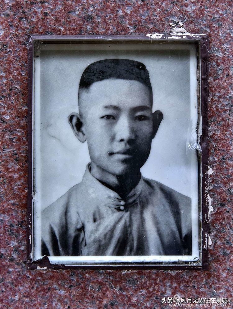 济南一颗梧桐树,济南的法国梧桐