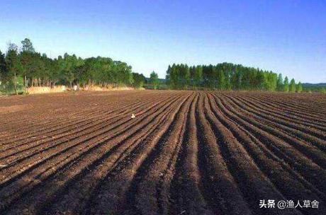 一公顷等于多少英亩多少亩,一英亩等于多少亩