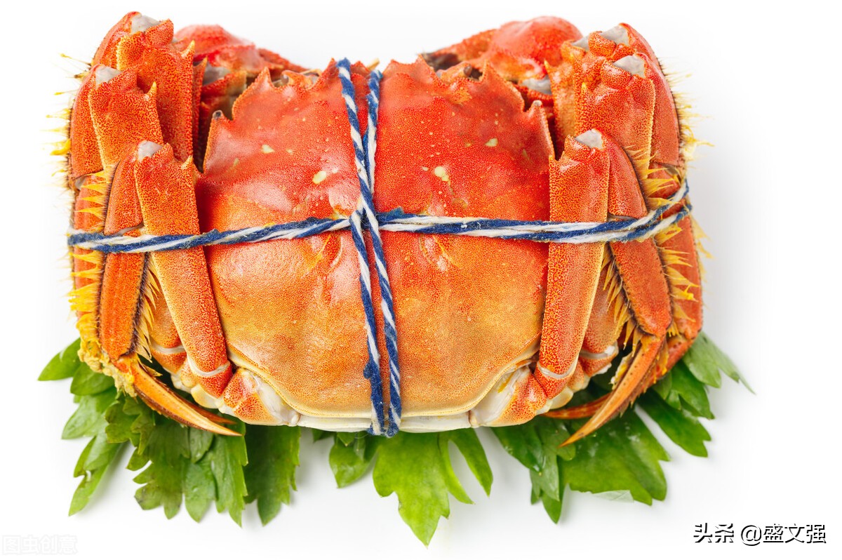 什么季节适合抓沙蟹,又到秋高蟹肥时下半句