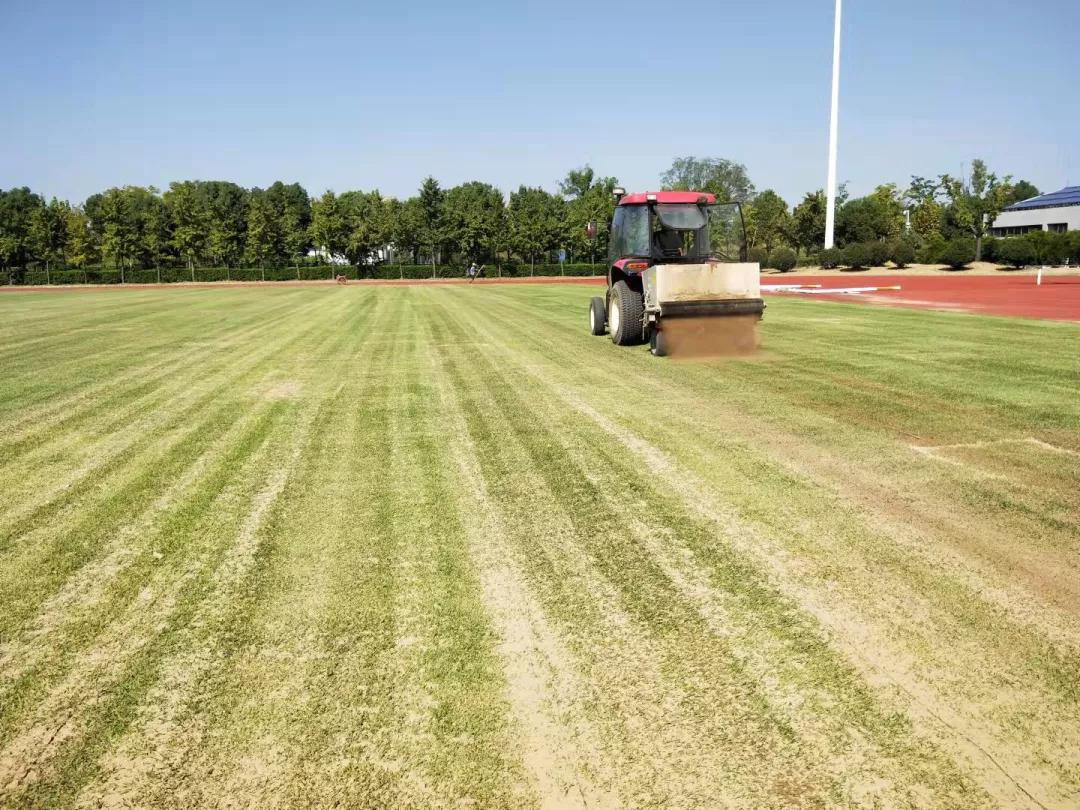 亚运体育赛事中心项目,亚运体育场馆