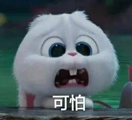 哪些妇科病在保险之内,适合女性妇科疾病的保险