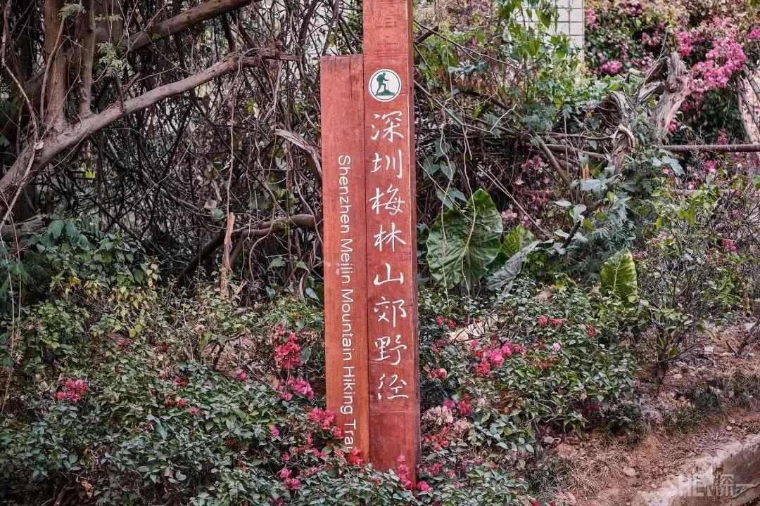 深圳首条手作“原始登山道”，人少好爬景色超美…过年去哪不用愁