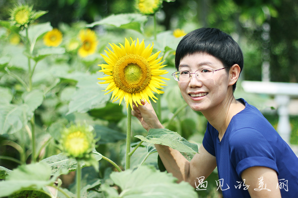 百万葵园有多坑,百万葵园免门票