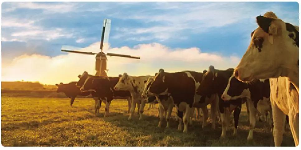 海淘奶粉怎么购买,海淘奶粉怎么买