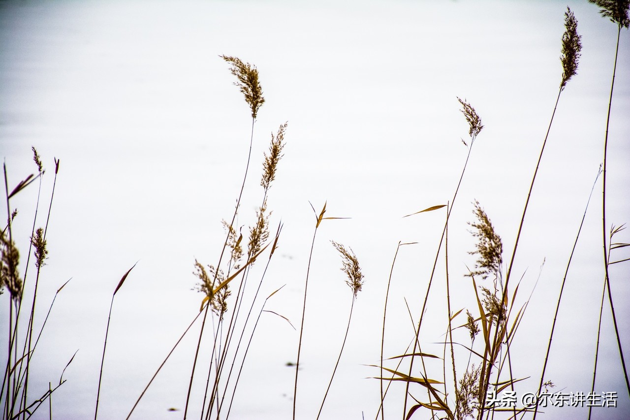 不信你不笑29个超级经典笑话,十条笑话让人忍不住笑抽的段子