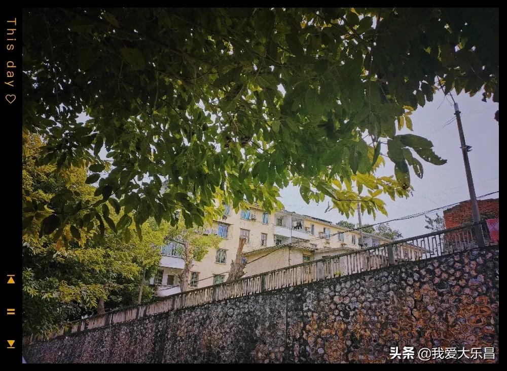 乐昌市棉纺厂历史,乐昌市最老的纺织厂