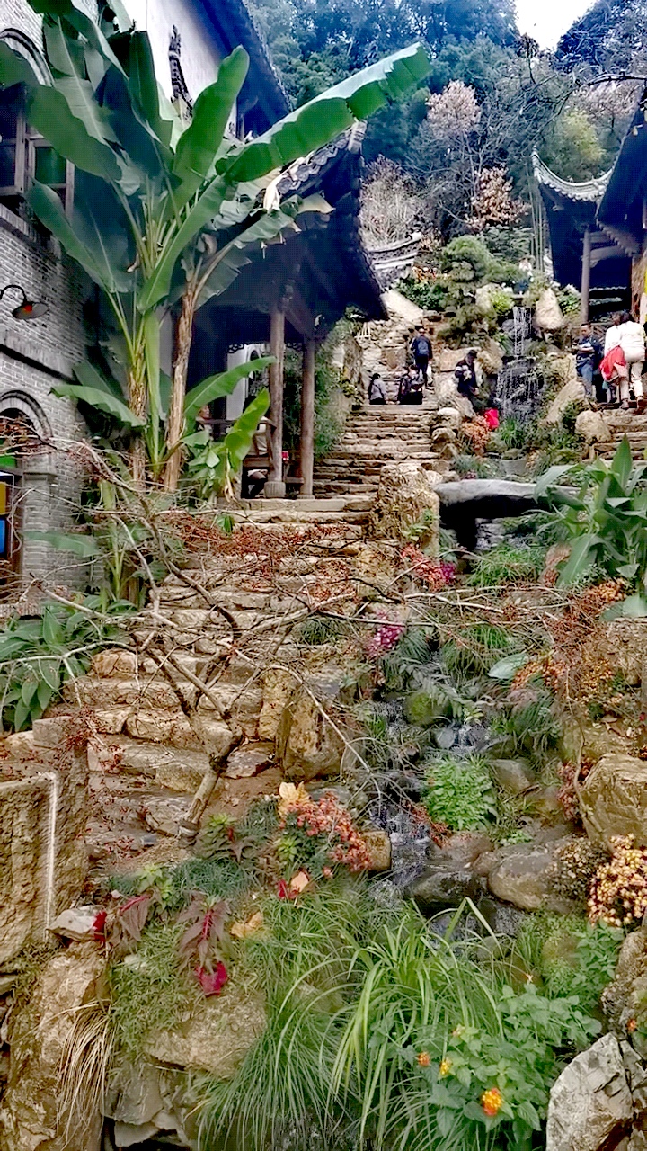 濠烘簮绡佸箔寰芥淳寤虹瓚浜虹敓鎰熸偀,濠烘簮绡佸箔鎰熸偀