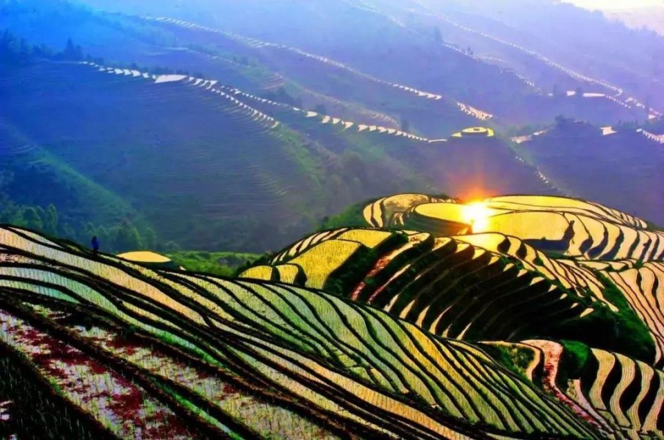 人间最美四月天赏自然春景,人间最美不过四月天图