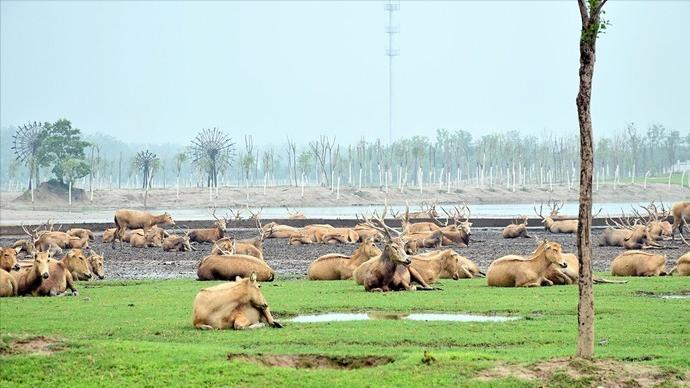 江苏省盐城市有哪些县和区,浅谈全国各省份
