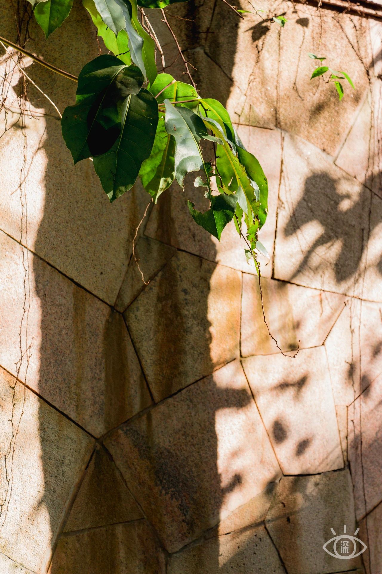 隐藏在深圳的风景,神秘古堡是拍照打卡圣地