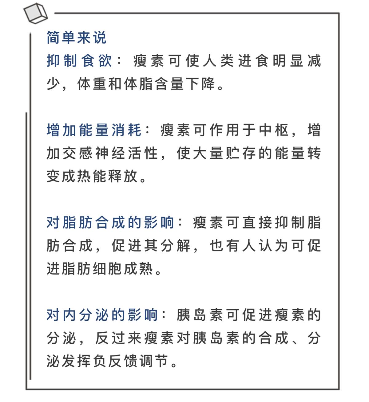 瘦素,LEPTIN-全身能量平衡调控肽