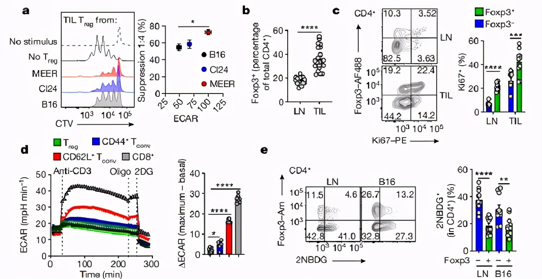 癌细胞竟能策反部分免疫细胞，产生乳酸喂养它们，让其为己所用