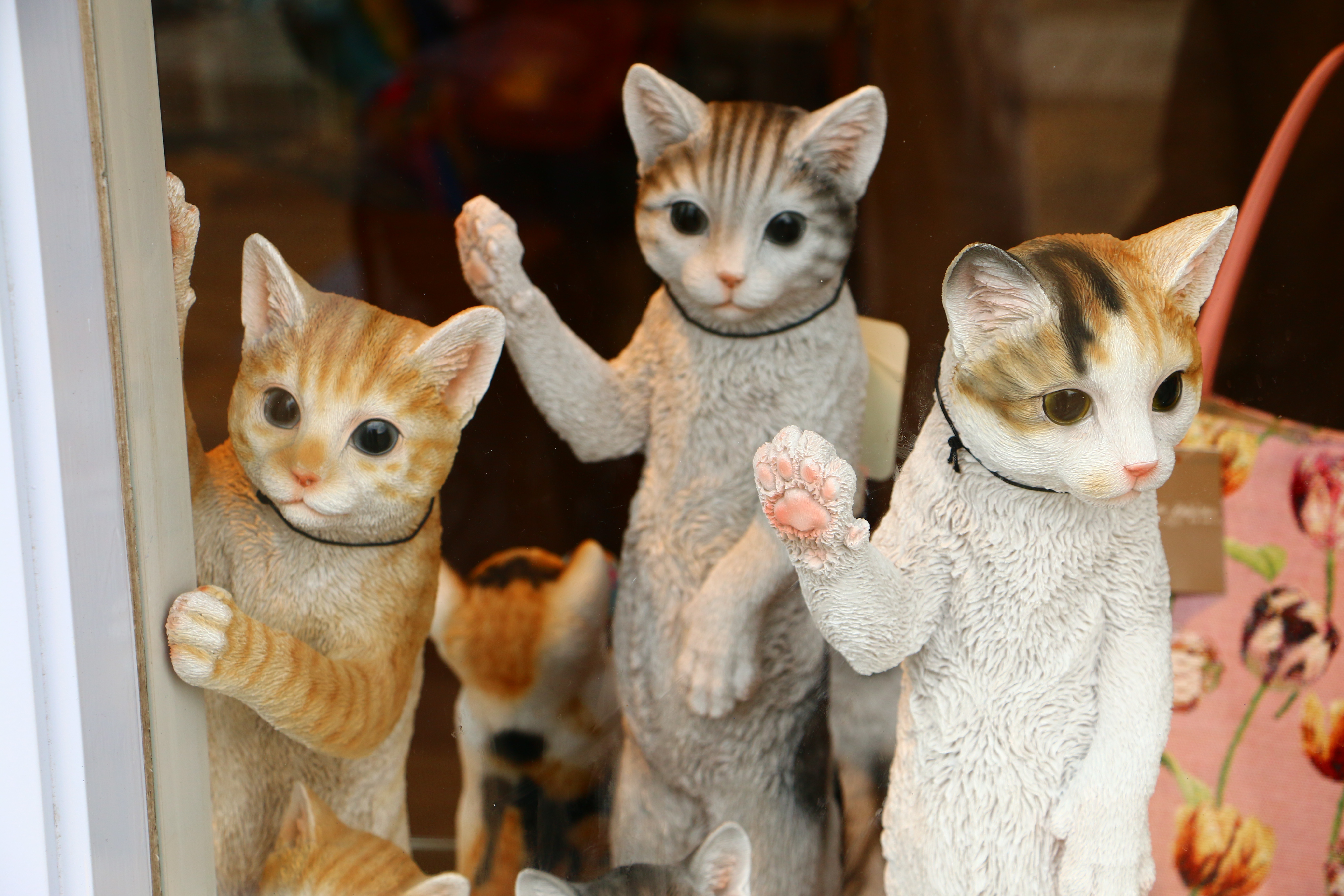 日本奈良自由行详细攻略,日本大阪京都自由行路线