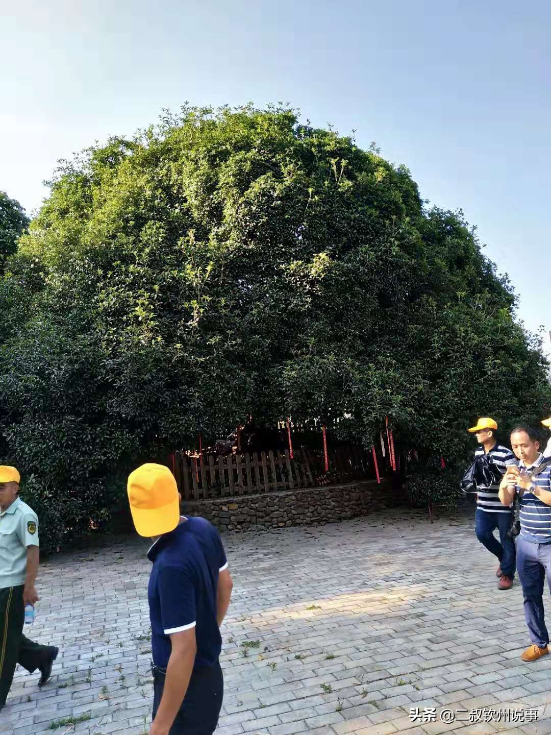 招商引资为工业发展带来的潜力,广西灵山秀水招商引资