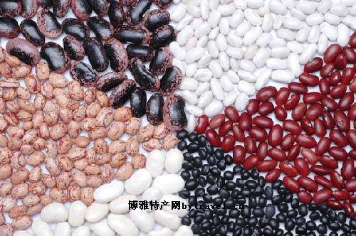 延安名贵植物,十大名贵豆类图片