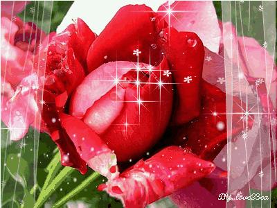 一份暖心的问候致我牵挂的朋友,真心的祝福送给每一位真心的朋友