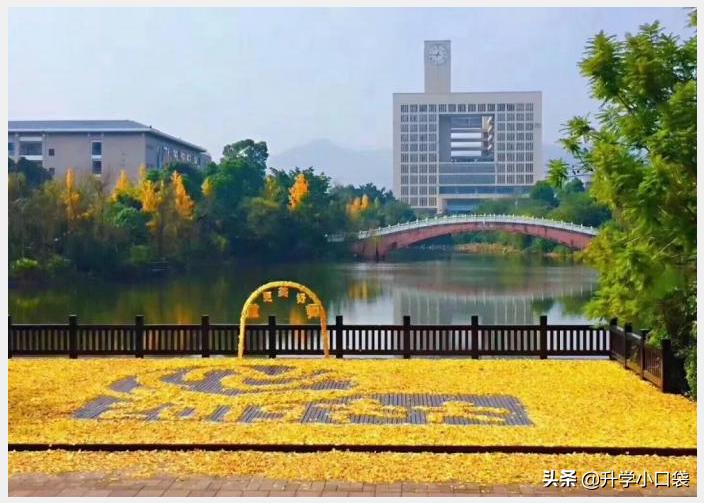 这9所好学校，具有“保研”资格，今年在重庆的录取分数不足470分