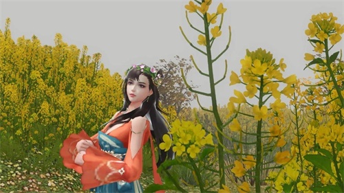 低配电脑新倩女幽魂游戏设置流畅,新倩女幽魂端游次世代四开配置