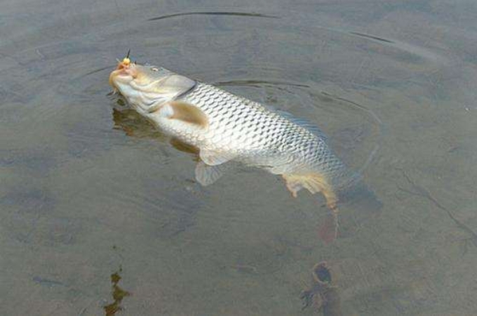 一旦走漂，我就只服这应对策略，百试百灵，知道的人肯定不简单