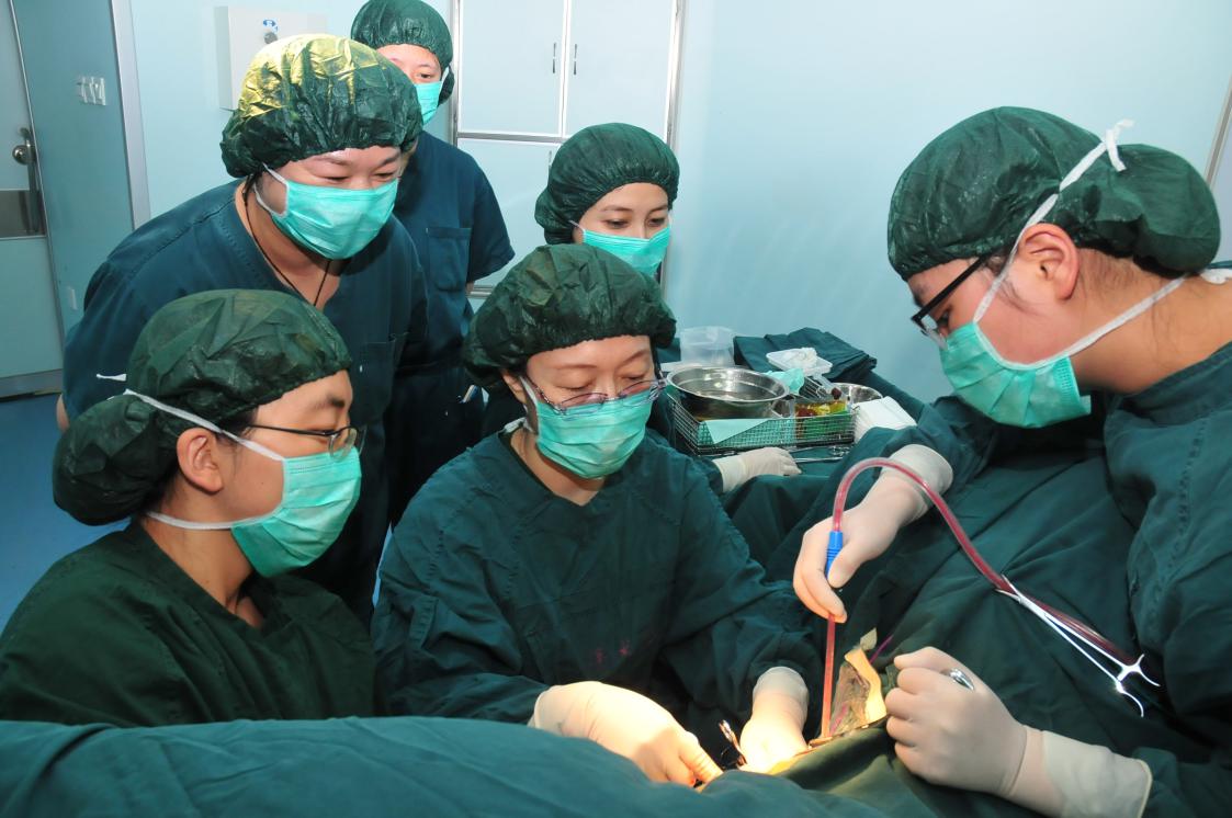 半边天的专属温柔——沈阳市第四人民医院妇产科为78岁高龄女性成功施行阴式手术