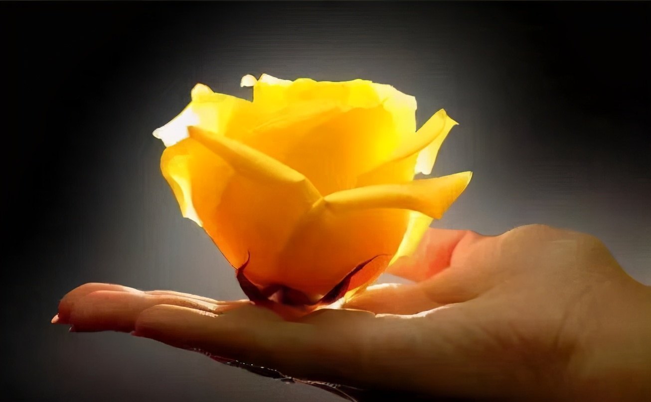 修习静定的方式有哪些？快乐密码空间