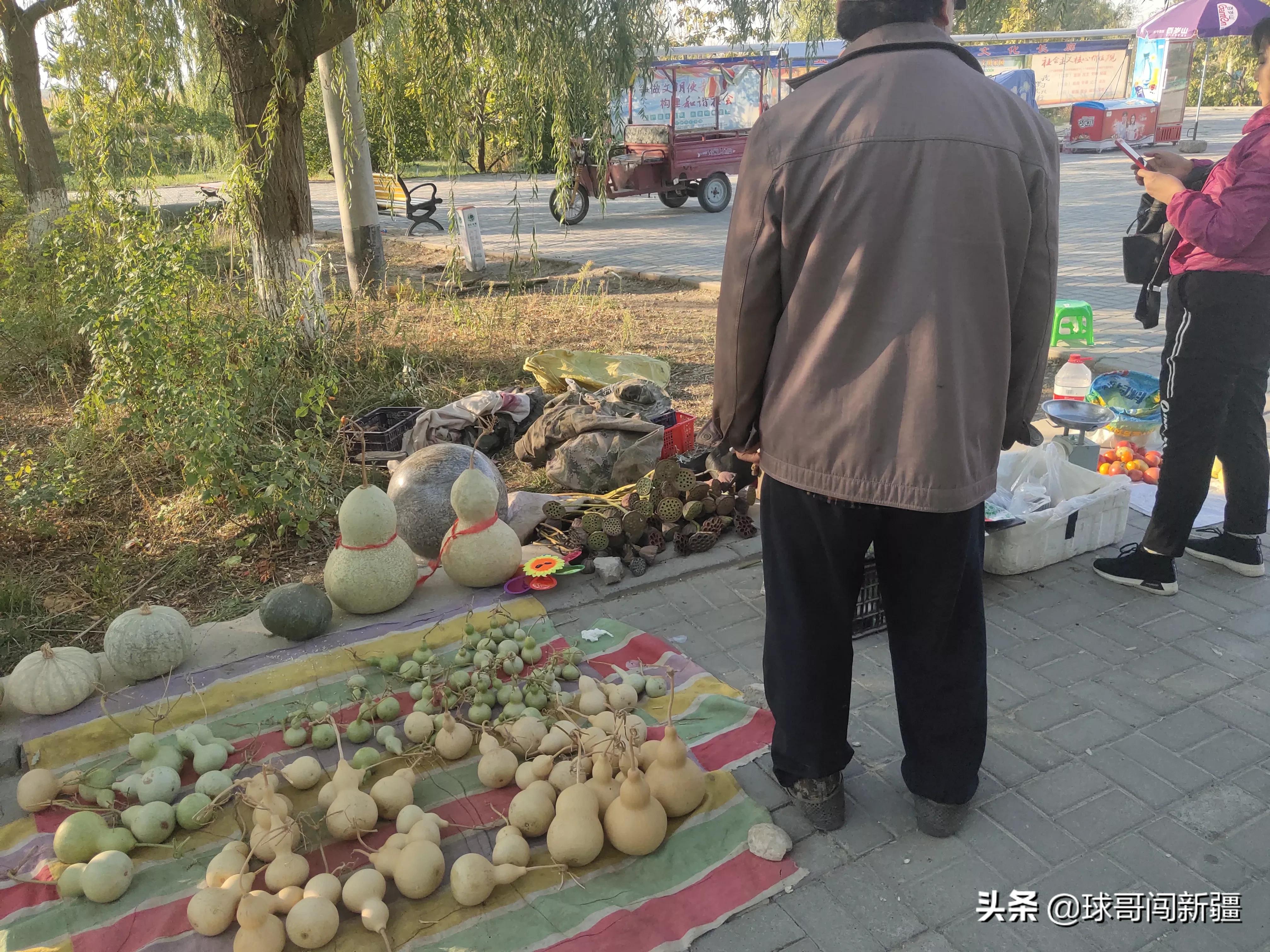 乌鲁木齐五家渠开发区发展,乌鲁木齐城市后花园