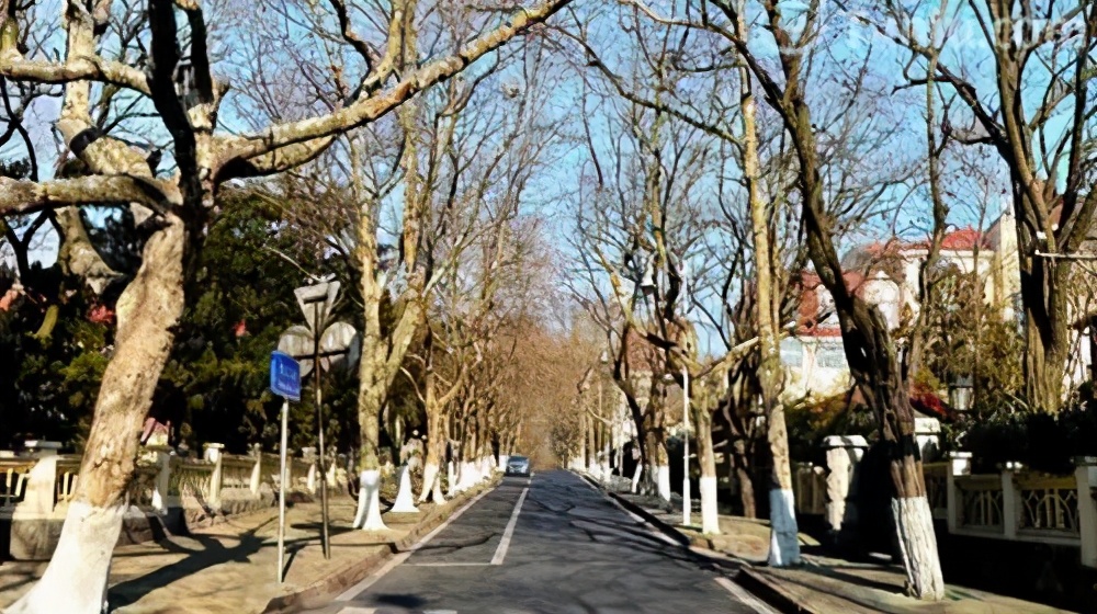 独家整理！青岛周边游最全攻略！自驾3小时内，人少景美还不贵！