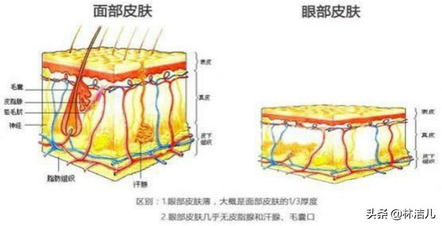 冻龄女神减龄,冻龄女神气质十足