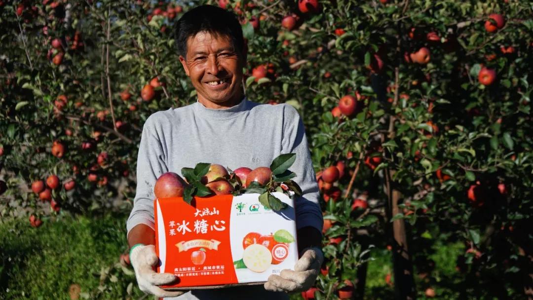 这届年轻人双11消费变了,双11大家都在抢货