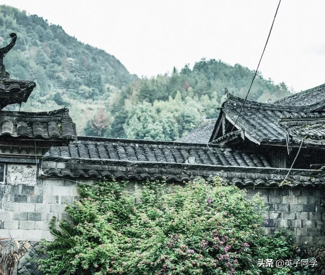 泰顺最美廊桥,泰顺历史三千年廊桥