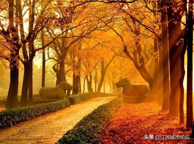 台湾学生拍电影,台湾学生南京