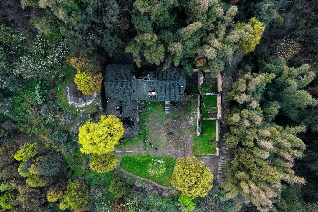 一家四口倾家荡产在山里造房隐居：3年零收入，坚持不通车