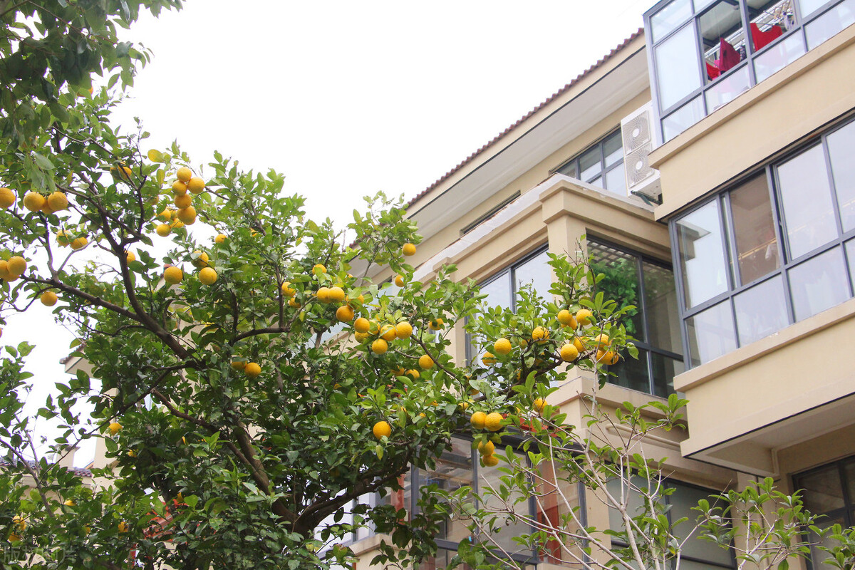 初入职场最便宜的租房方式,刚入职上海工作如何租房