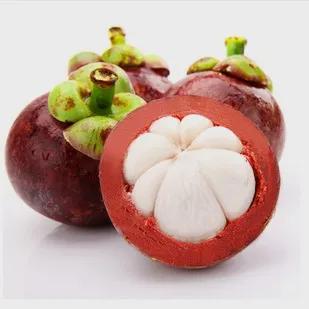 山竹的英语单词,山竹和芒果的英语