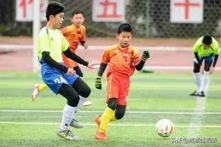 成都室内大型运动场地,周末可以打羽毛球的场子