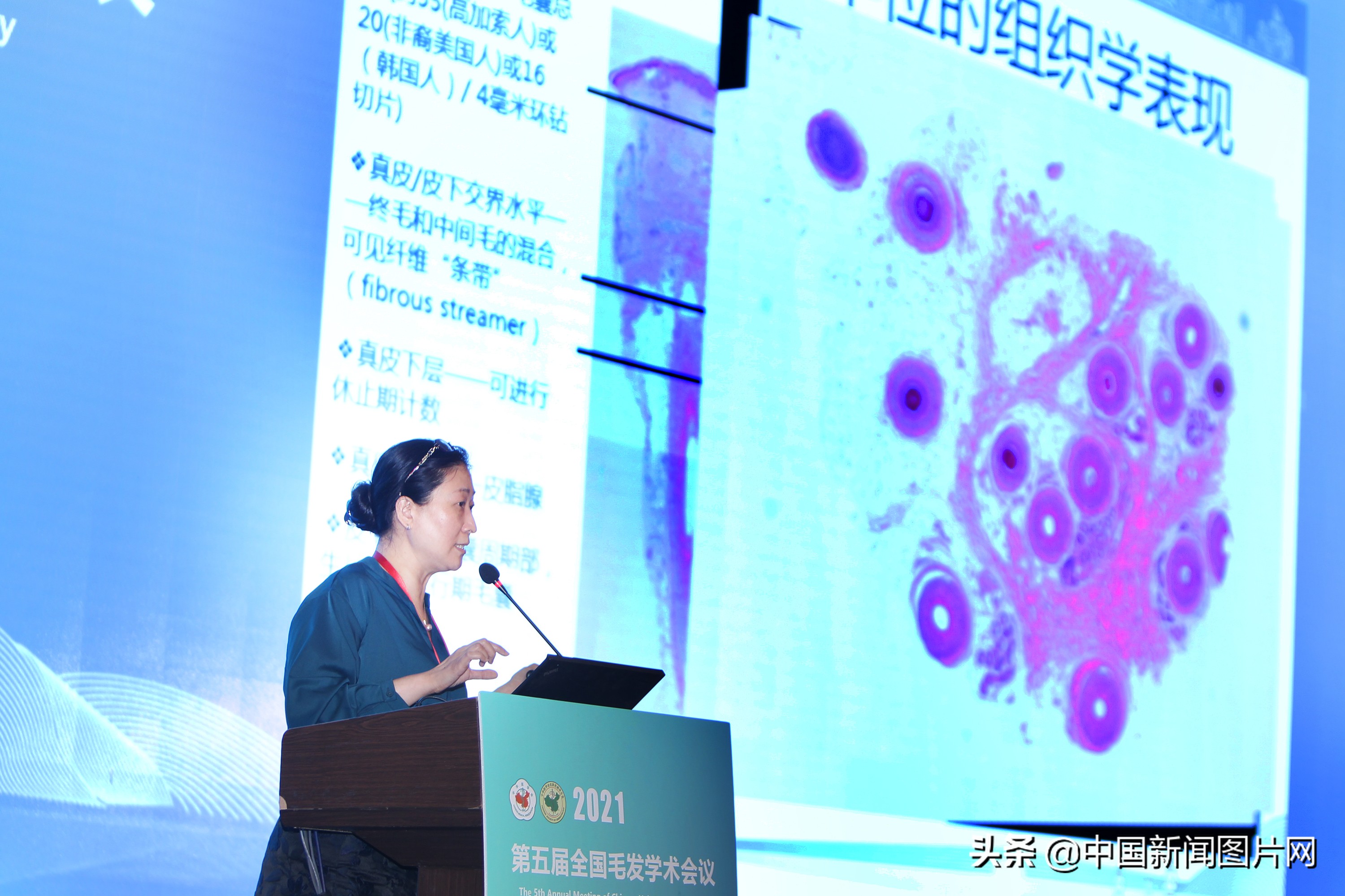 毛发学术会议,全国毛发学术研讨会