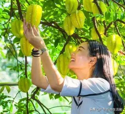 三亚湾高级海景房599元两晚,299入住两天一晚大床房