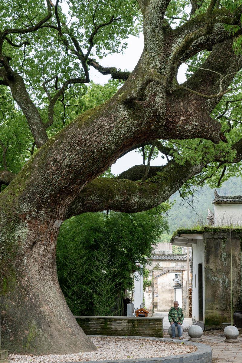 臻选人文度假品牌开山之作,惊艳问世,与月途看尽婺源千面之美