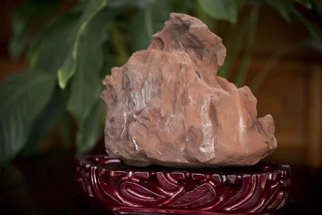 河北陨石馆图片大全,衡水陨石馆周围有什么玩的地方