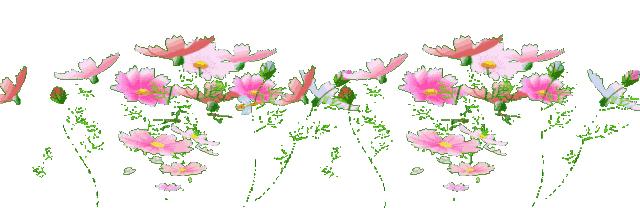 十堰最美的姑娘,十堰茅箭女人抖音