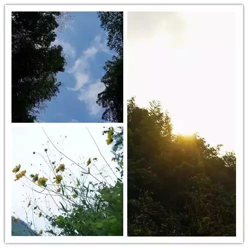 遗世独立的隐居酒店，大自然的馈赠——宁海安岚酒店