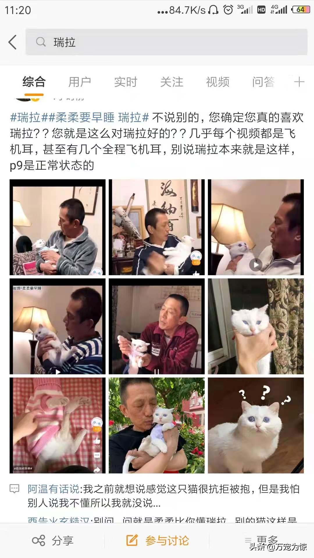 瑞拉热议——如何做好一名称职的铲屎官