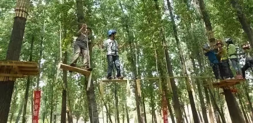 罗江赏梅花,罗江的礼物去哪买