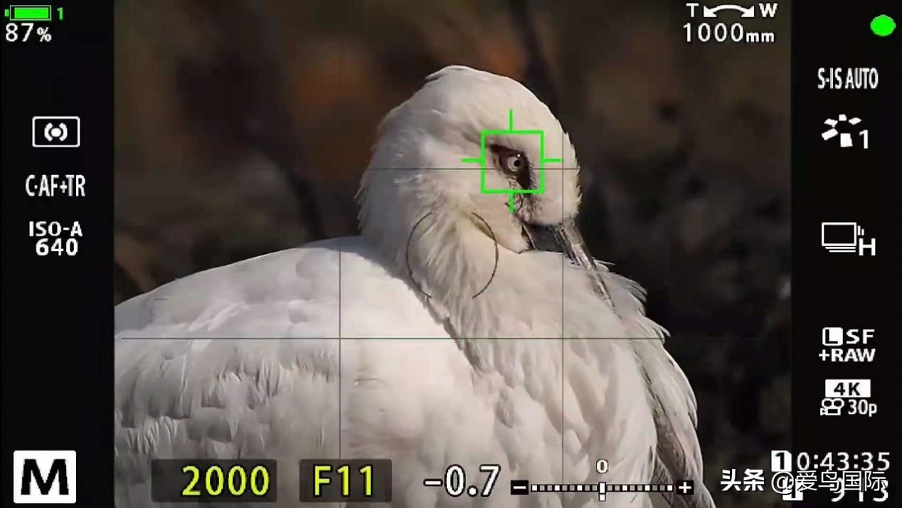 奥林巴斯2000m,奥林巴斯40-150r镜头评测