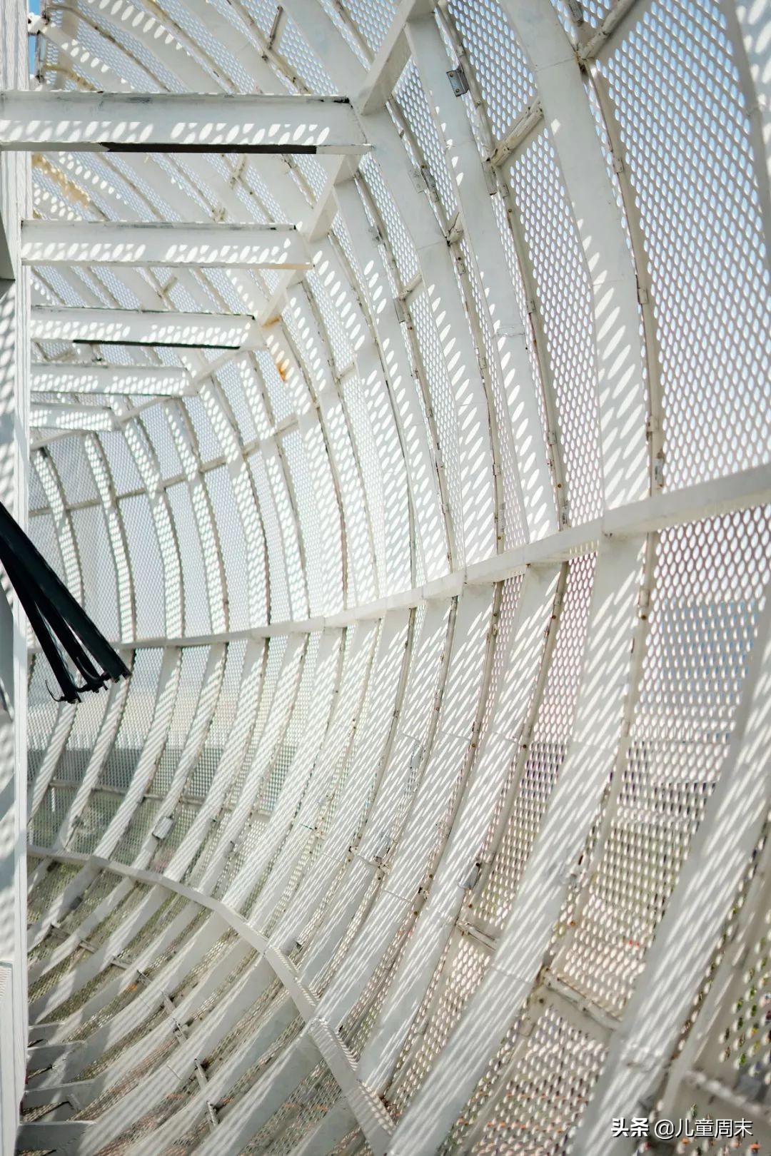 深圳中心公园足球场,深圳中心公园大草坪