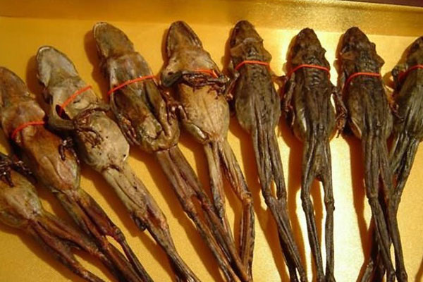 雪蛤里的黄金图片,雪蛤堪比黄金