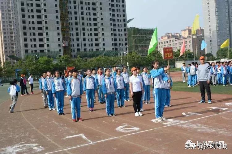 扶风小学运动会全部节目,扶风田径运动会