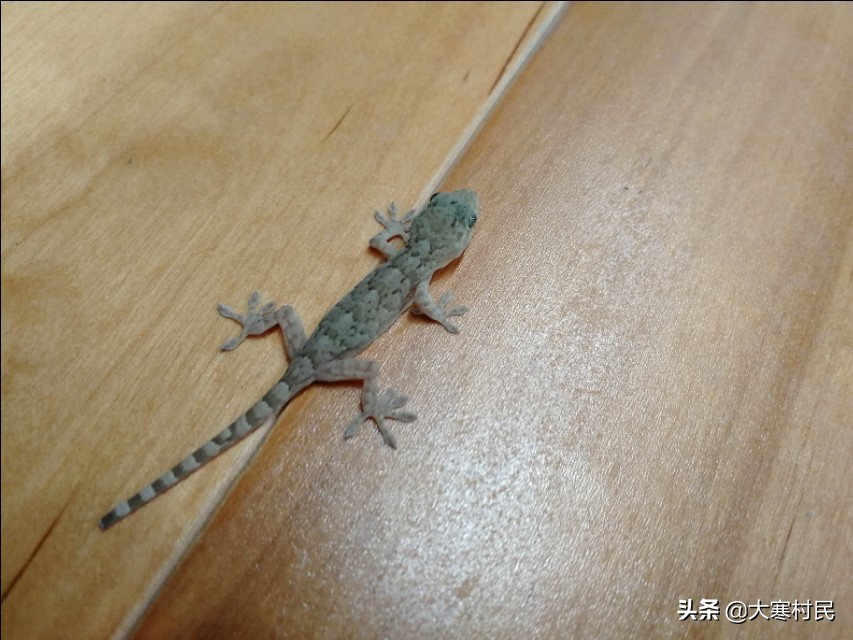 蹲的时间长一站起来头晕,蹲的时间长站起来突然晕一下